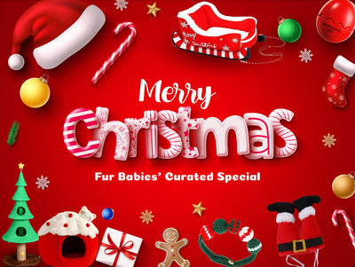 The FunPawStore 2025 Holiday Gift Guide: From an Epic Sleigh Bed to a Hilarious Santa Hat!